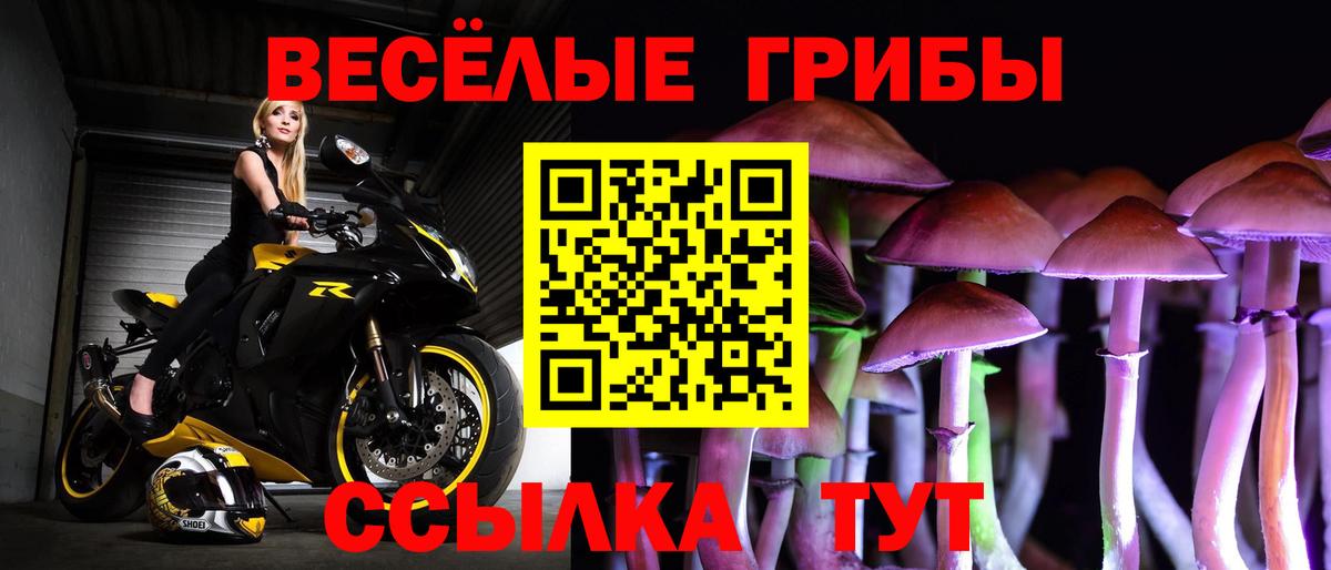 Камышлов  Галлюциногенные грибы ЛСД  Галлюциногенные грибы ЛСД  Вход с VPN 