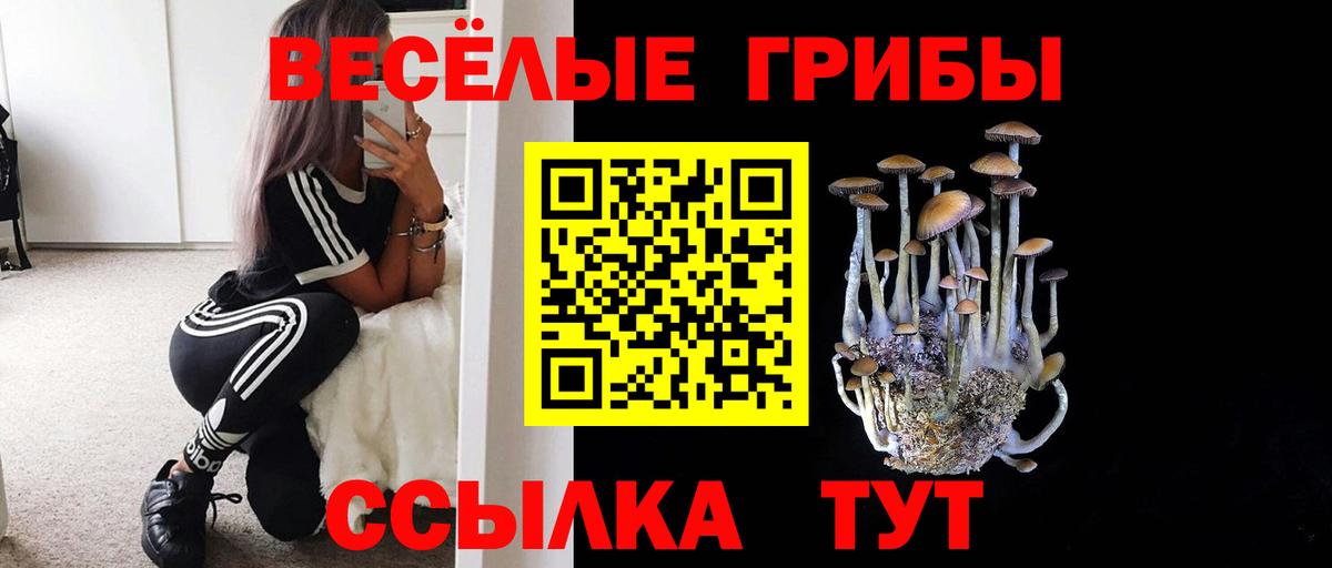 ТГК  Камышлов  Бошки Шишки  А ПВП СОЛЬ   Кокаин  Вход с VPN  Мефедрон кристаллы  Гашиш  Бошки Шишки 